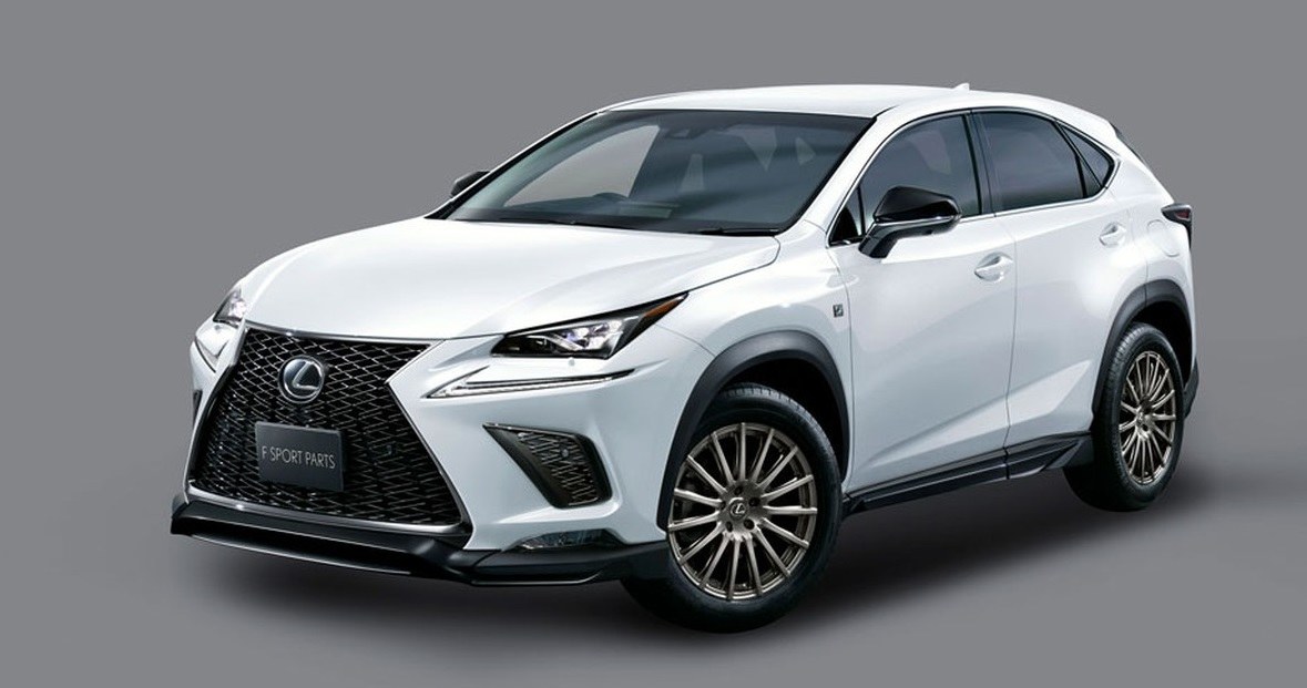 Lexus NX z pakietem TDR /Informacja prasowa