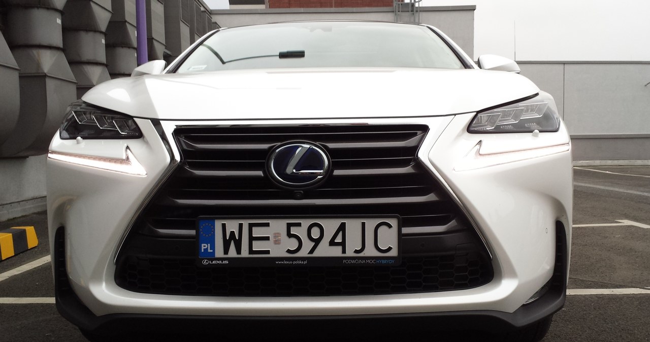 Lexus NX /INTERIA.PL