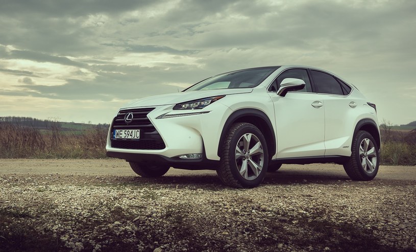 Lexus NX /INTERIA.PL