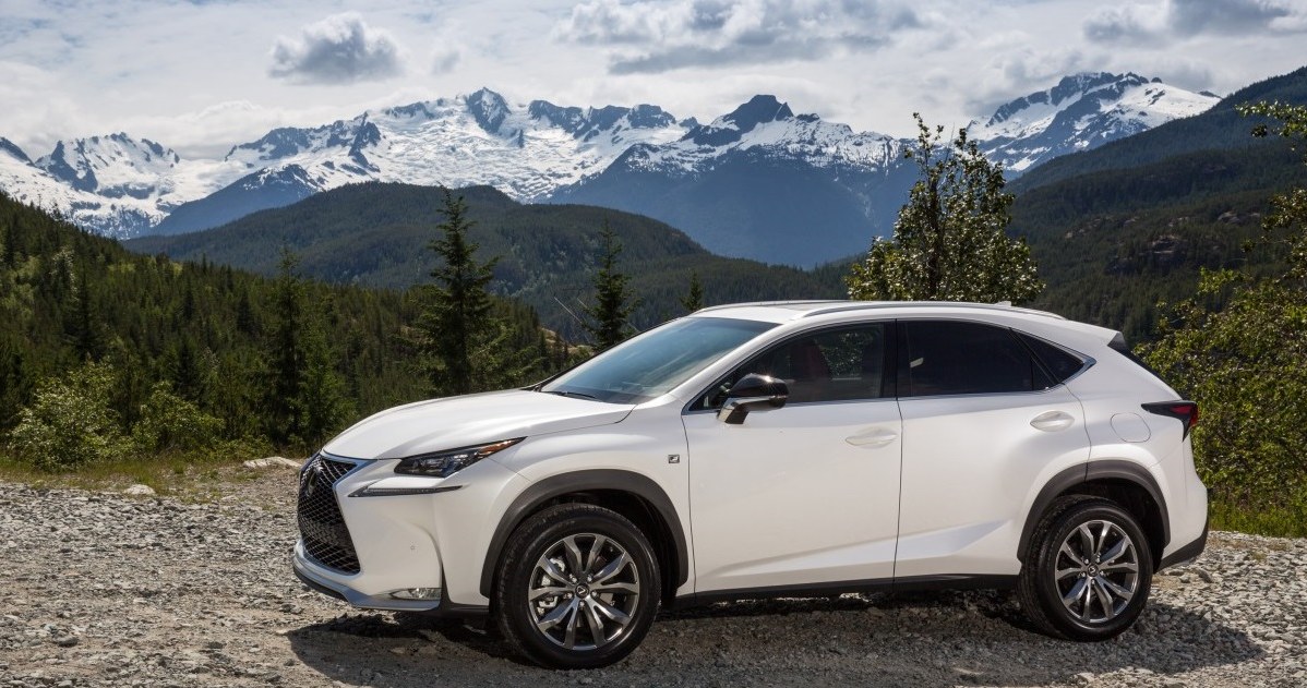 Lexus NX /Informacja prasowa