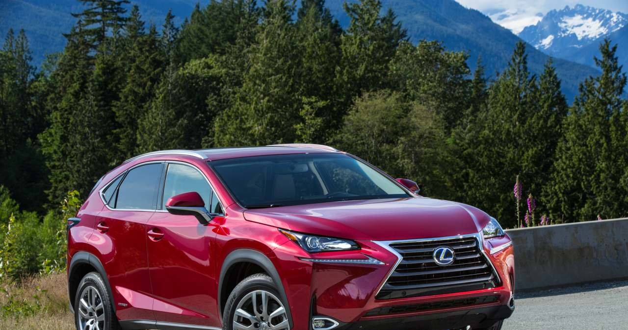 Lexus NX /Informacja prasowa