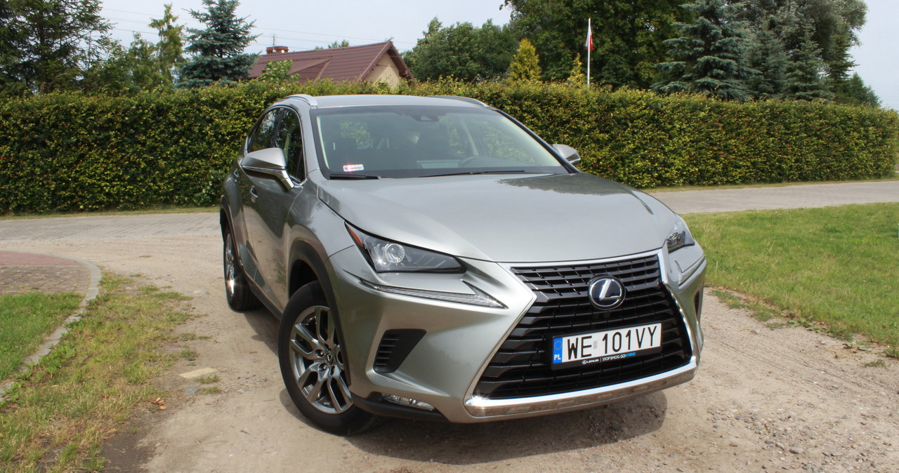 Lexus NX /Informacja prasowa