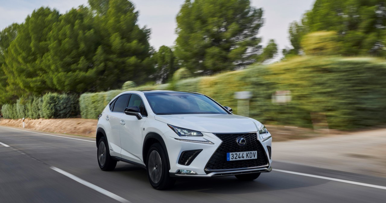 Lexus NX /Informacja prasowa