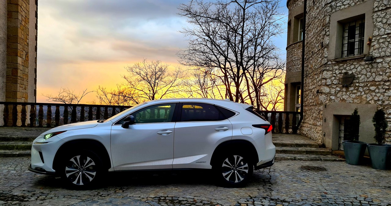 Lexus NX /Jacek Jurecki /INTERIA.PL