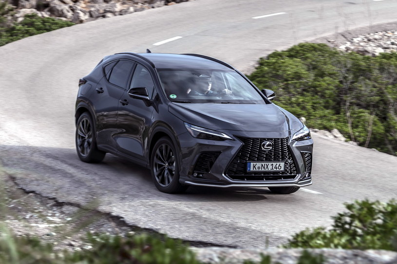 Lexus NX /Informacja prasowa