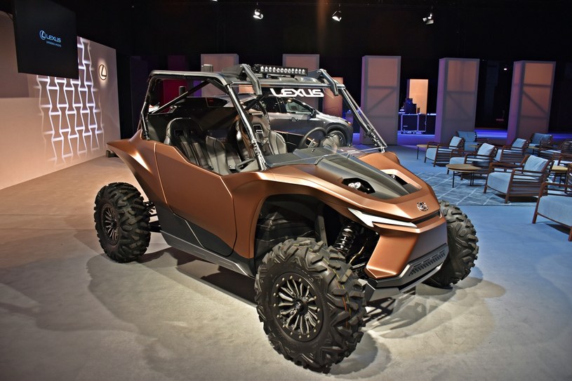 Lexus ROV Concept /INTERIA.PL