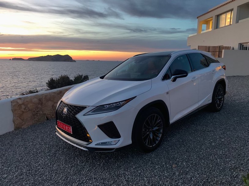 Lexus RX 2020 /INTERIA.PL
