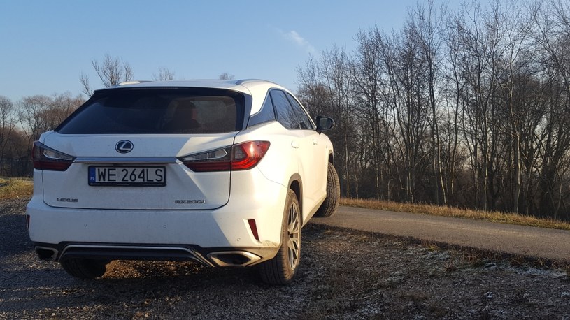 Lexus RX /INTERIA.PL