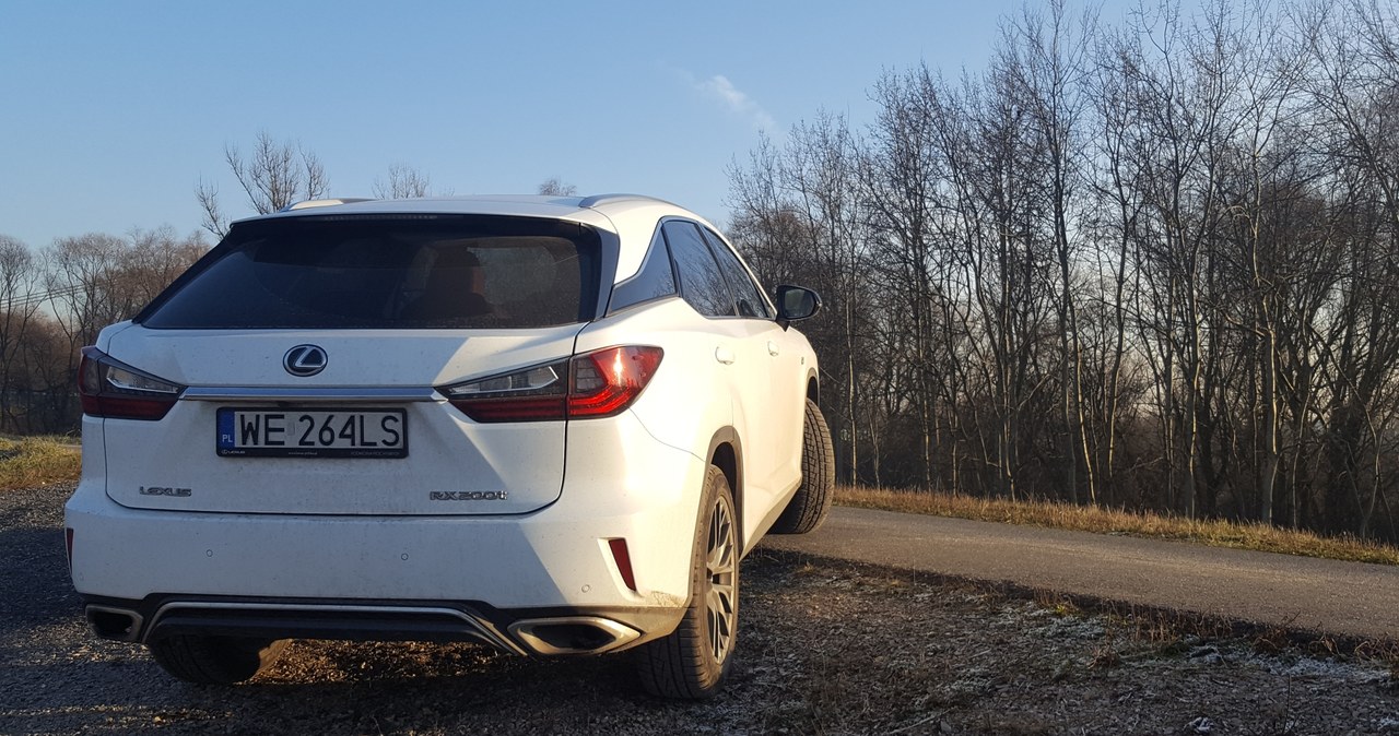 Lexus RX /INTERIA.PL