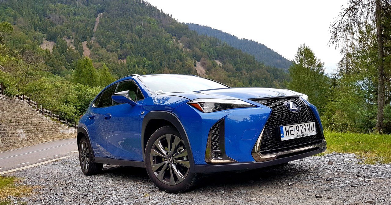 Lexus UX 250h /INTERIA.PL