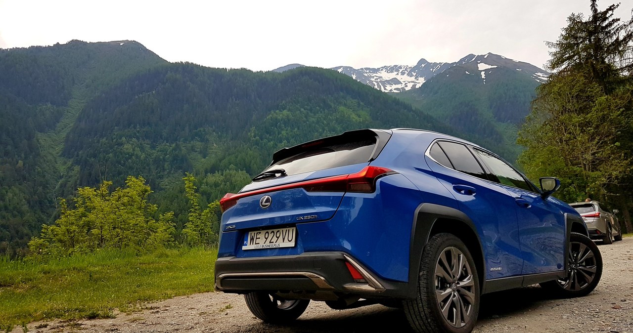 Lexus UX 250h /INTERIA.PL