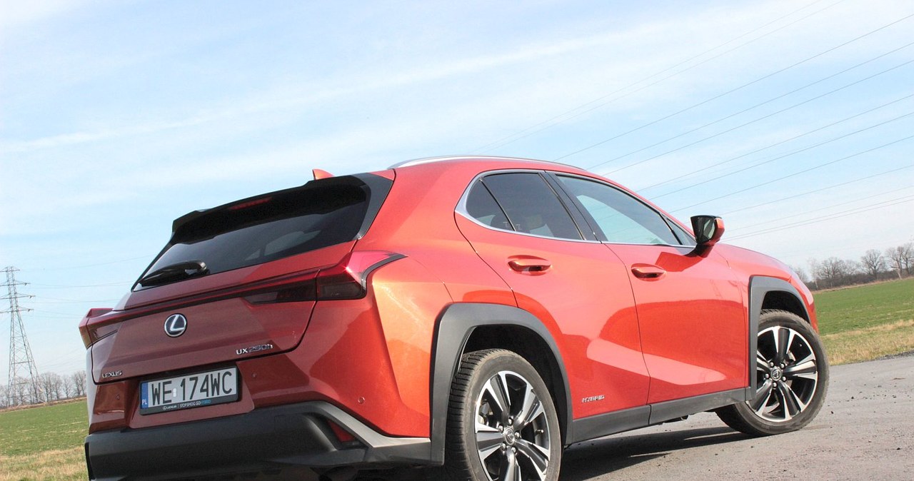 Lexus UX 250h /INTERIA.PL