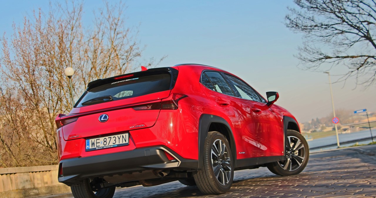 Lexus UX 250h /INTERIA.PL