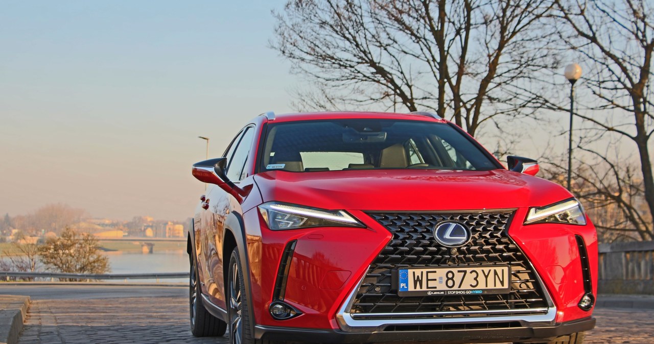 Lexus UX 250h /INTERIA.PL