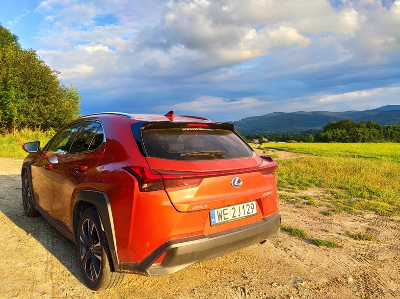 Lexus UX 250h /INTERIA.PL