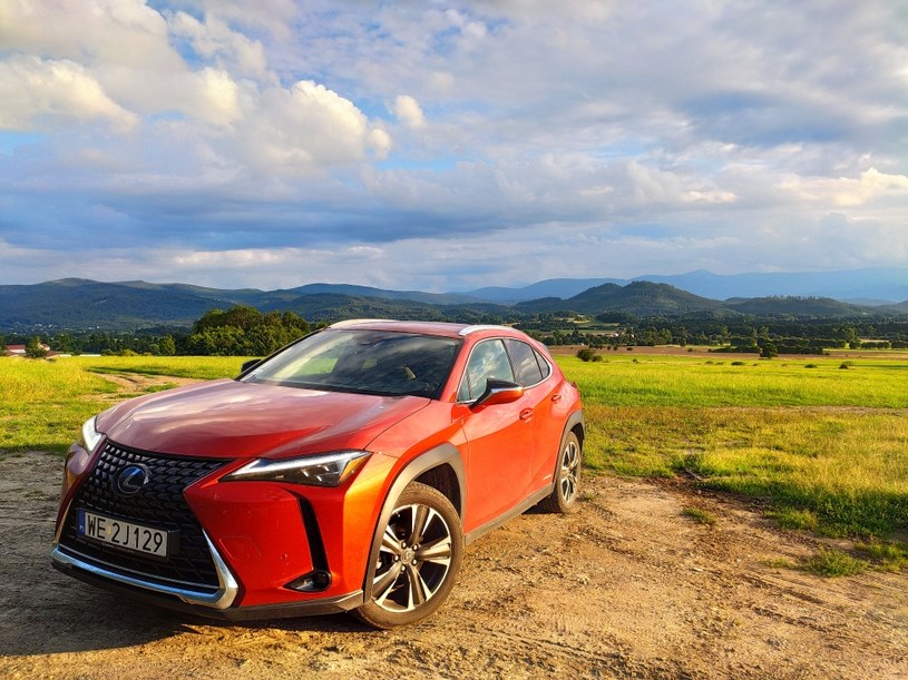 Lexus UX 250h /INTERIA.PL