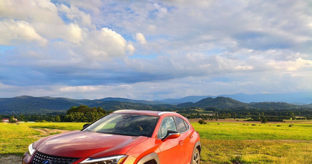 Lexus UX 250h /INTERIA.PL