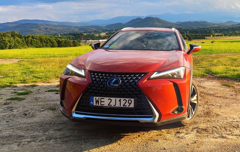 Lexus UX 250h /INTERIA.PL