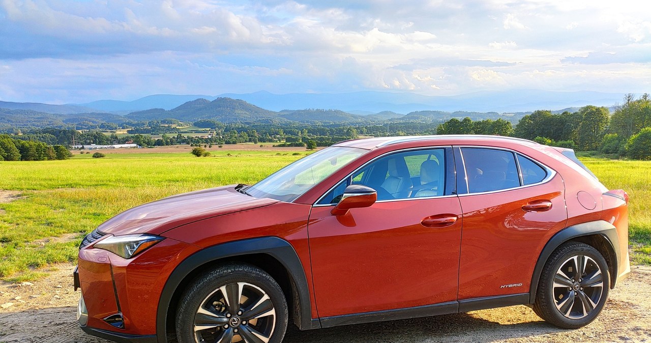 Lexus UX 250h /INTERIA.PL