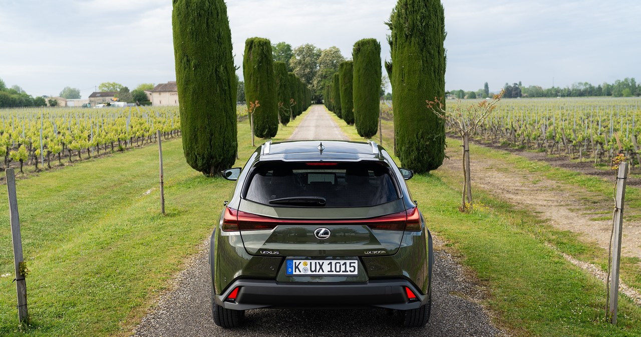 Lexus UX 300h /Jan Guss-Gasiński