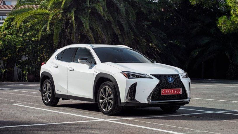 Lexus UX był najlepiej sprzedającym się autem producenta w Europie w pierwszym półroczu tego roku. /.