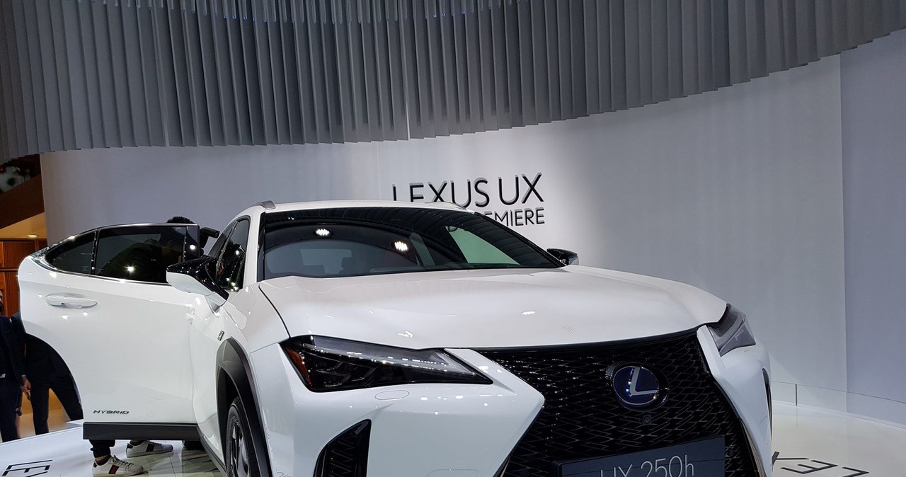 Lexus UX /INTERIA.PL