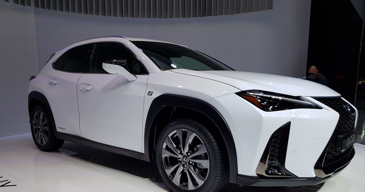 Lexus UX /INTERIA.PL