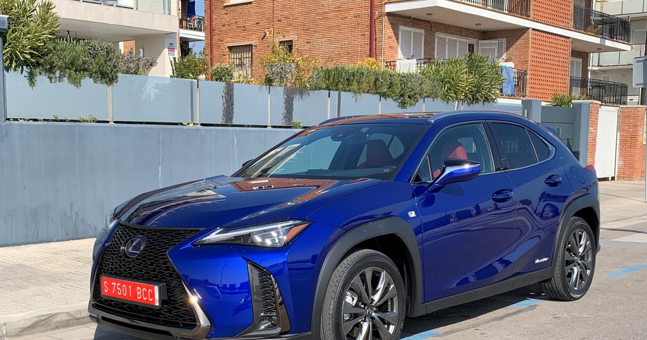 Lexus UX /INTERIA.PL