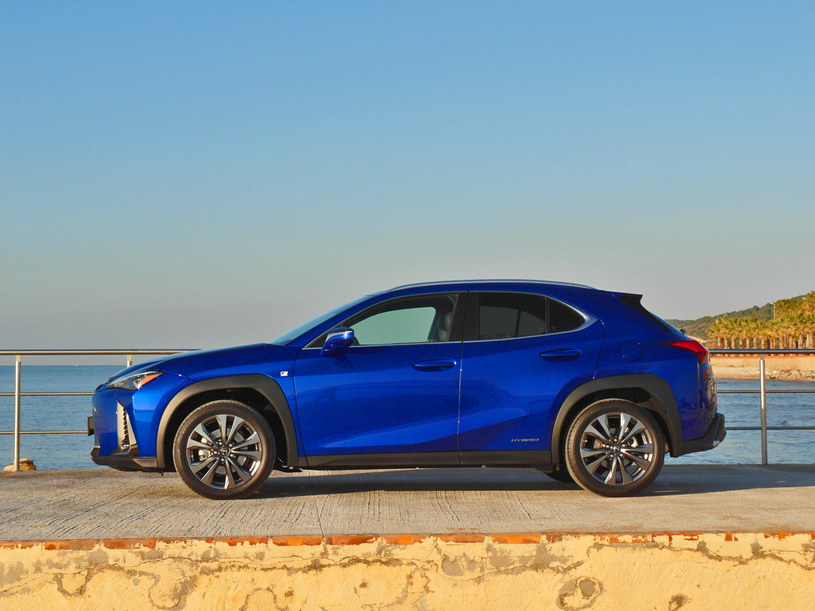 Lexus UX /INTERIA.PL