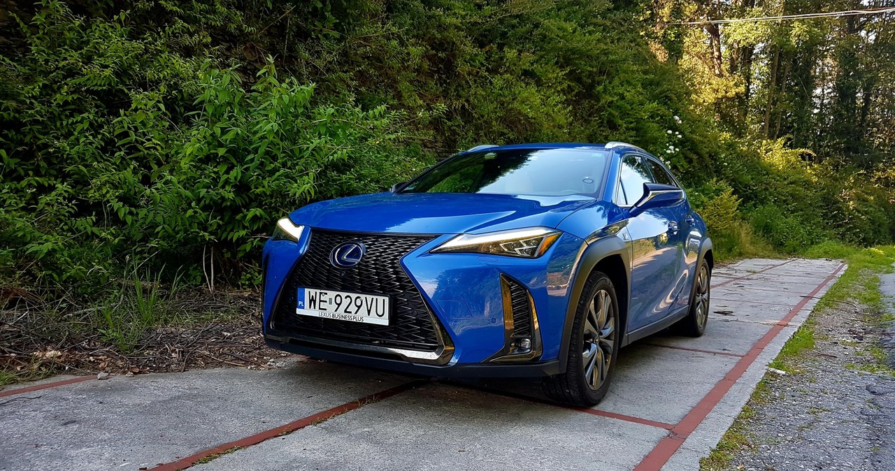 Lexus UX /INTERIA.PL