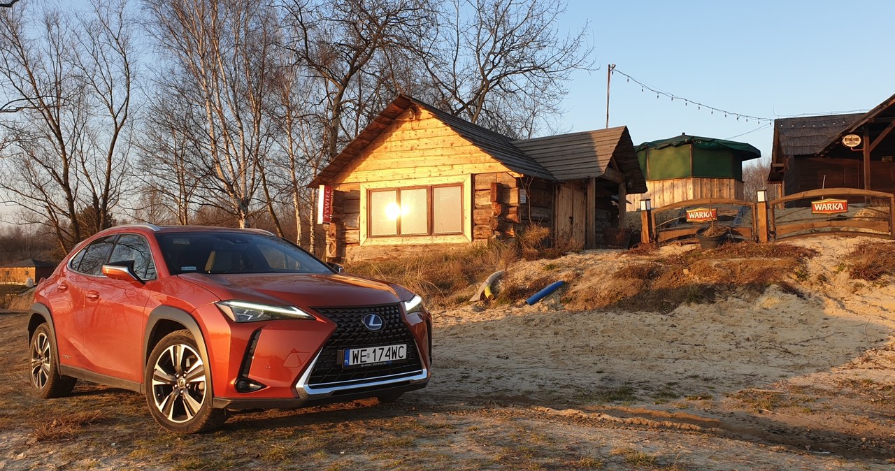 Lexus UX /INTERIA.PL