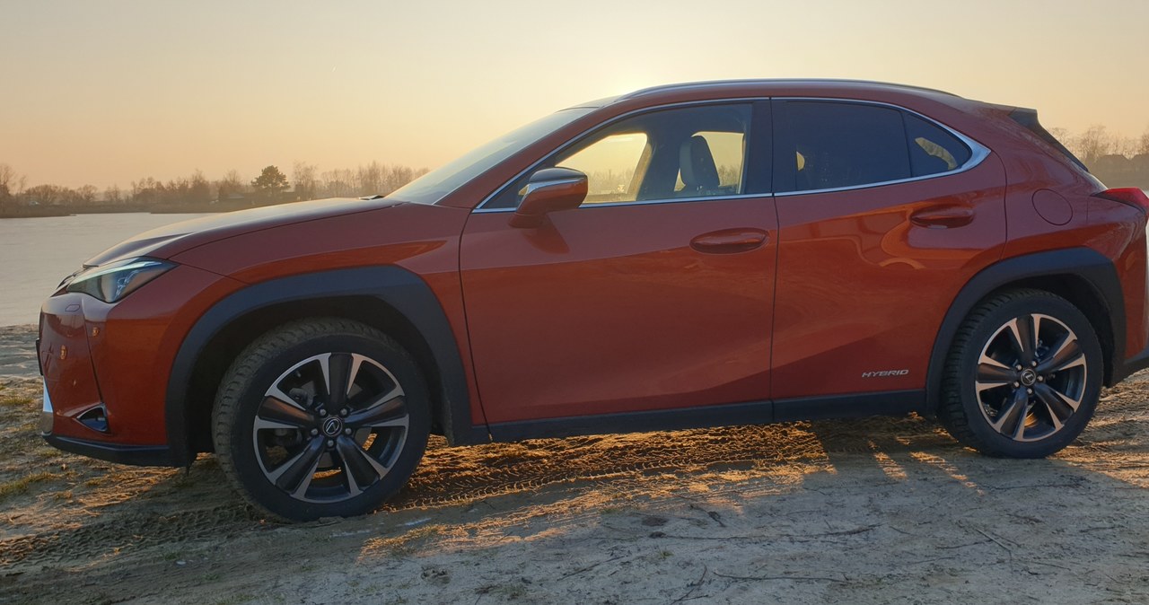 Lexus UX /INTERIA.PL