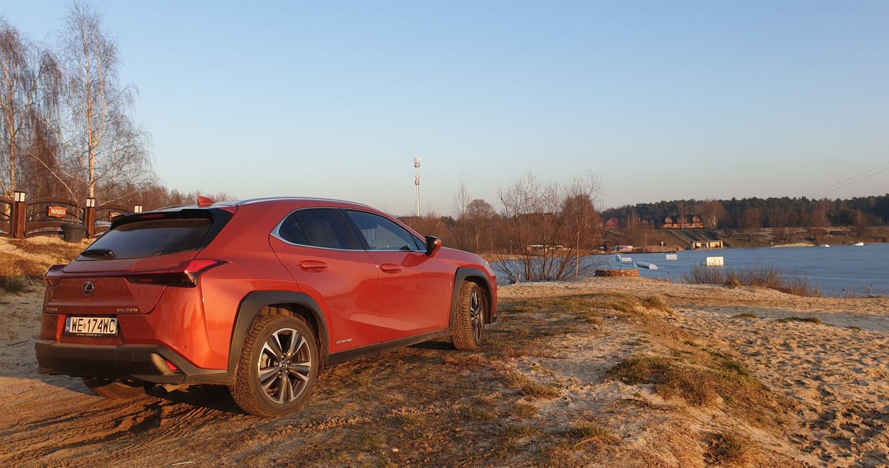 Lexus UX /INTERIA.PL