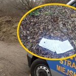 Leżały w trawie nad Wisłą. Strażnicy miejscy znaleźli dokumenty z poufnymi danymi