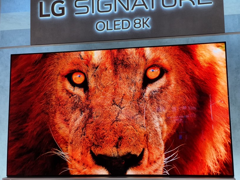 LG OLED TV 8K /INTERIA.PL