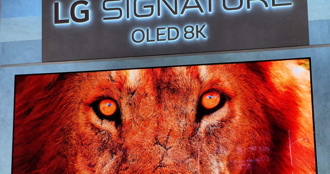 LG OLED TV 8K /INTERIA.PL