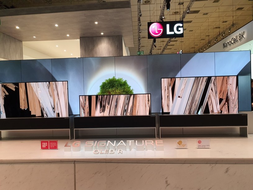 LG OLED TV R /INTERIA.PL