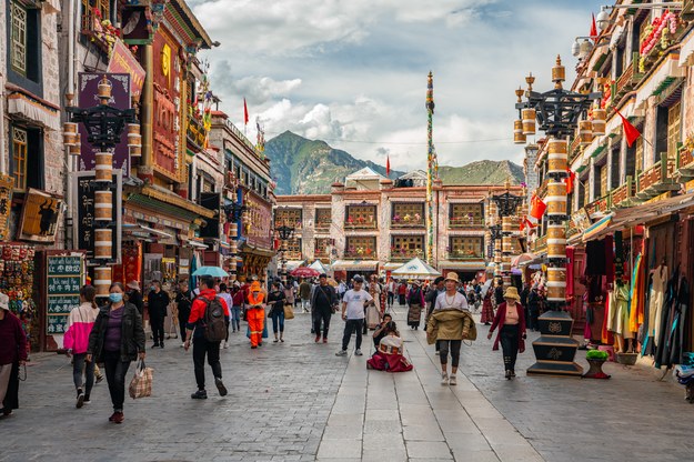 Lhasa na zdjęciu ilustracyjnym /Shutterstock