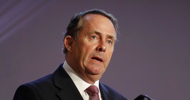 Liam Fox, brytyjski minister handlu /AFP