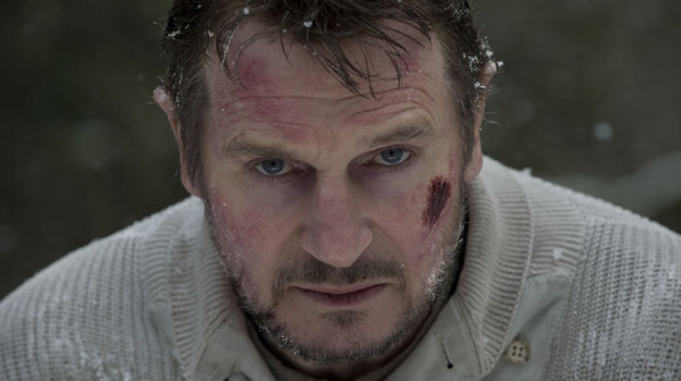 Liam Neeson w scenie z filmu "Przetrwanie" /materiały dystrybutora