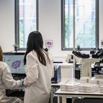 Liczą na przełom w medycynie. Superantybiotyk od sztucznej inteligencji