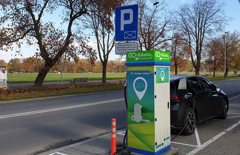 Liczba dostępnych modeli elektrycznych rośnie, ale sprzedaż pozostaje na śladowym poziomi /INTERIA.PL