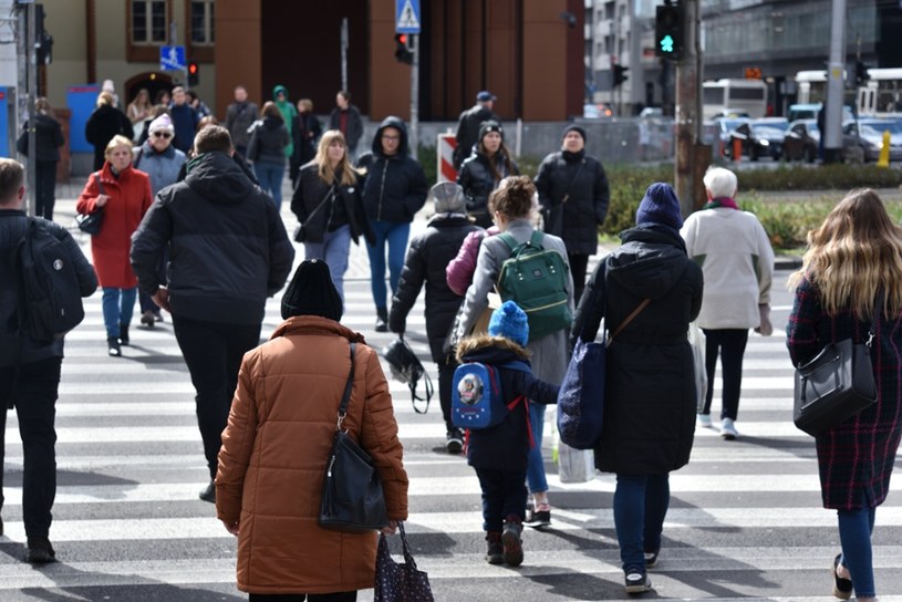 Liczba uczestników Pracowniczych Planów Kapitałowych wzrosła o 718 tys. i przekracza 3,3 mln osób. /Bartłomiej Magierowski /Agencja SE/East News