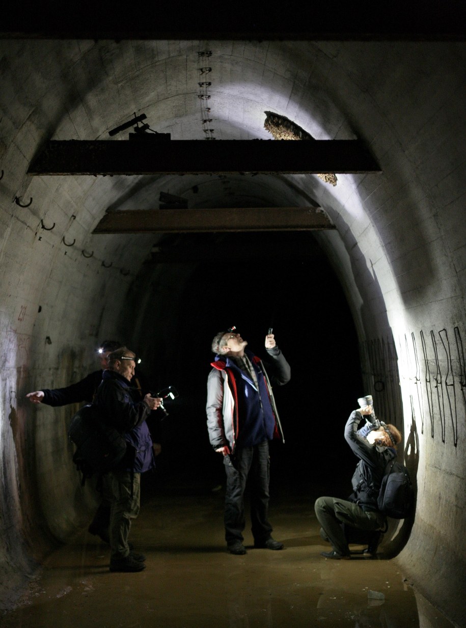 Liczenie nietoperzy w podziemiach Międzyrzeckiego Rejonu Umocnionego / 	Lech Muszyński    /PAP