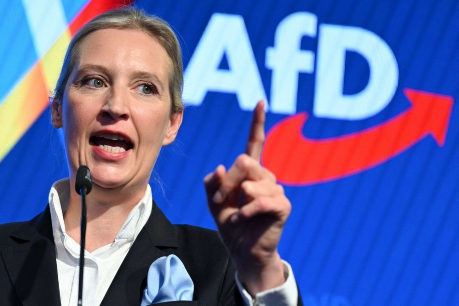 Liderka Alternatywy dla Niemiec Alice Weidel /SOEREN STACHE/AFP/East News /East News