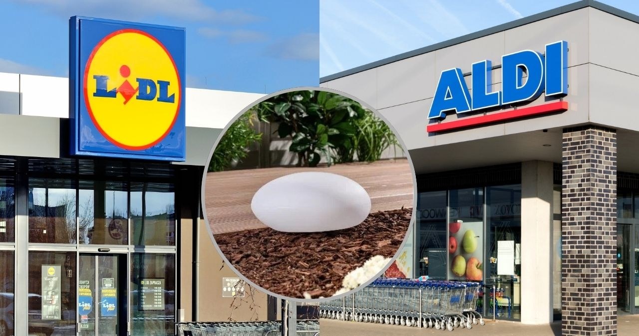 Lidl i Aldi zaskakują ofertą! W sieciach pojawił się nowy hit do ogrodu i na taras /adobestock/Lidl /INTERIA.PL