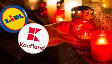 Lidl i Kaulfland z kolejną wyjątkową promocją na Wszystkich Świętych! Znicze i chryzantemy jeszcze taniej