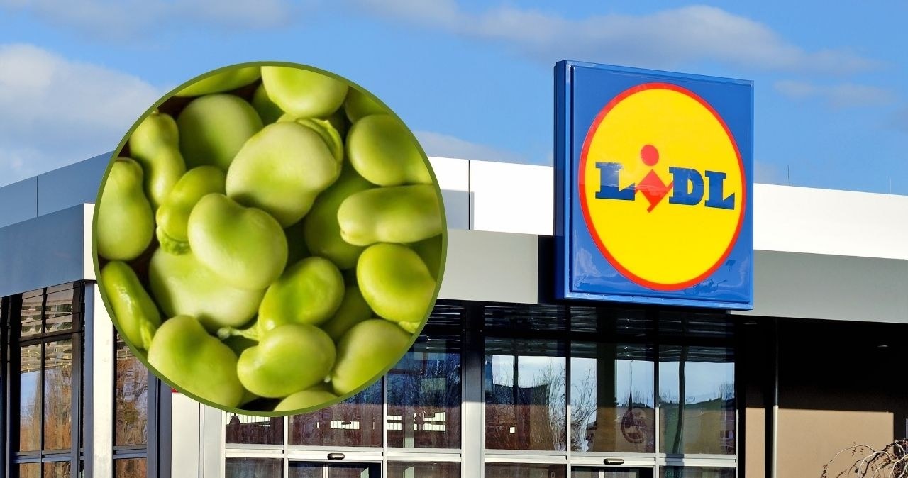 Lidl kusi promocją na bób. Hit sezonu dostępny od ręki /adobestock/Lidl /INTERIA.PL