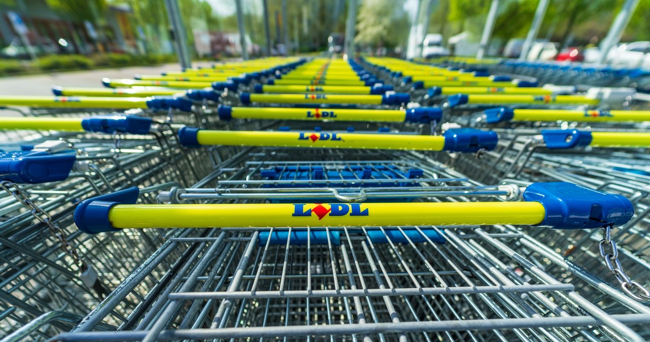 Lidl najtańszym dyskontem w lutym - wynika z comiesięcznego badania portalu dlahandlu.pl /123RF/PICSEL