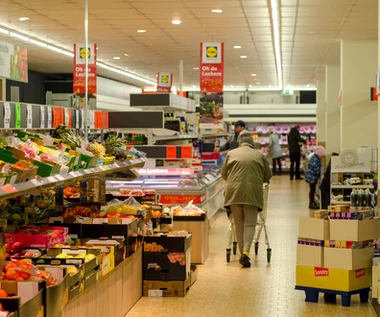 Lidl największym eksporterem polskiej żywności  